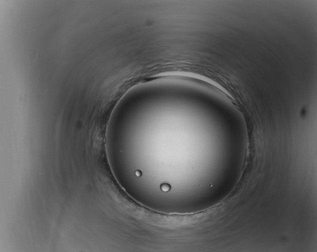 X0000116890037200912291312