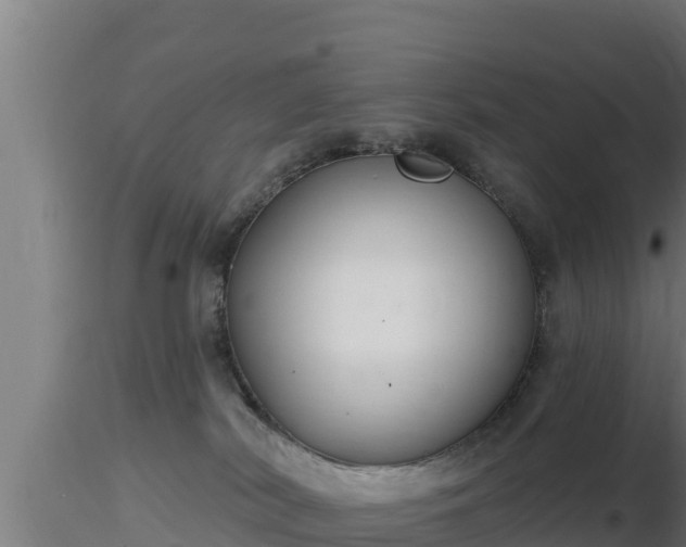 X0000116890038200912291312