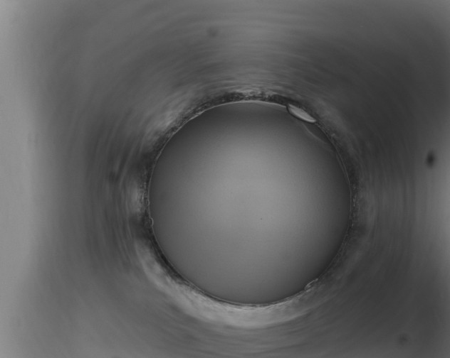 X0000116890039200912291312