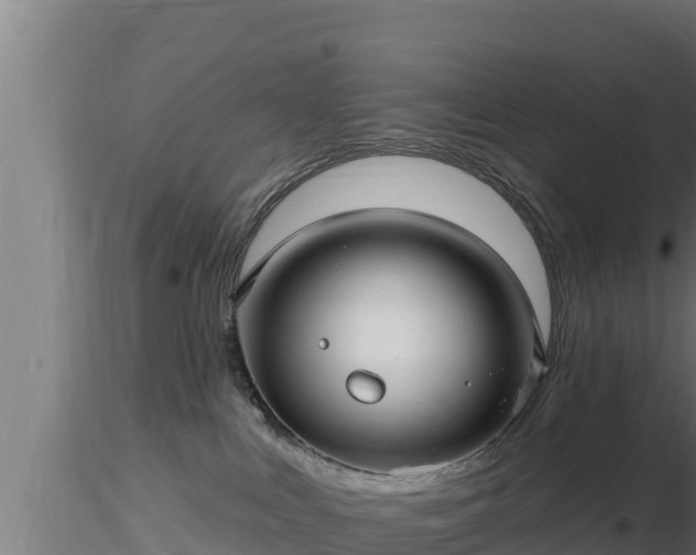 X0000116890043200912291312