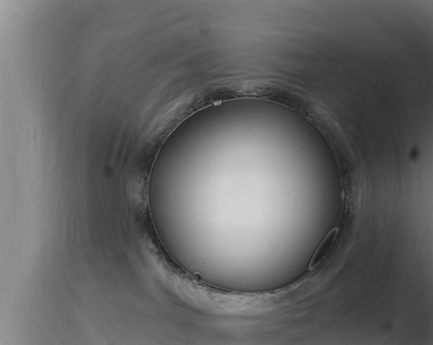X0000116890044200912291312