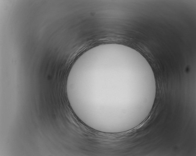 X0000116890045200912291312