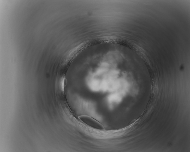 X0000116890047200912291312