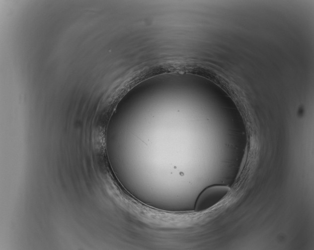 X0000116890048200912291312