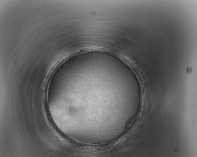 X0000116890049200912291311