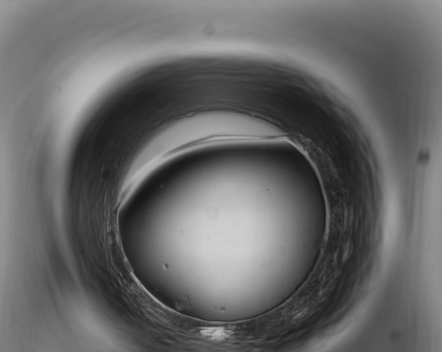 X0000116890050200912291312