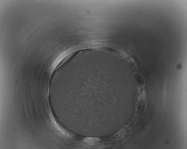 X0000116890051200912291312