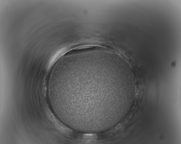 X0000116890053200912291312