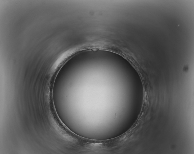 X0000116890054200912291312