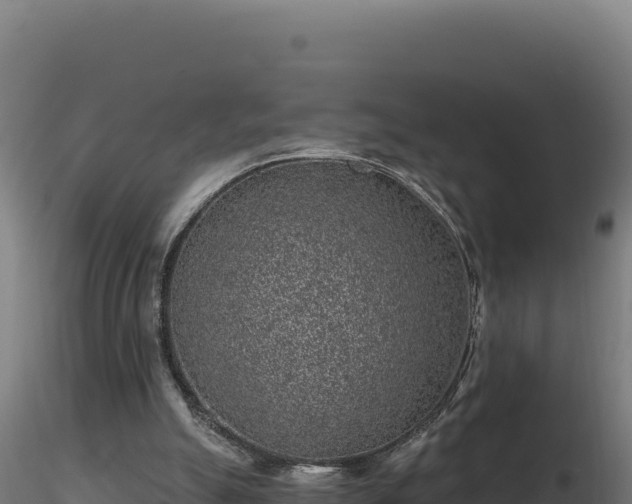 X0000116890055200912291312