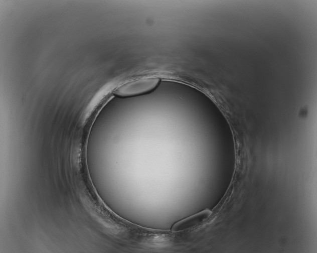 X0000116890056200912291312