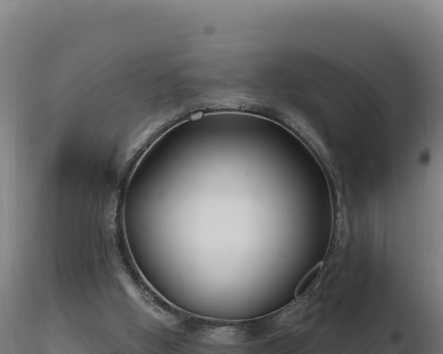 X0000116890058200912291312