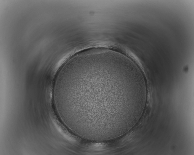 X0000116890059200912291312