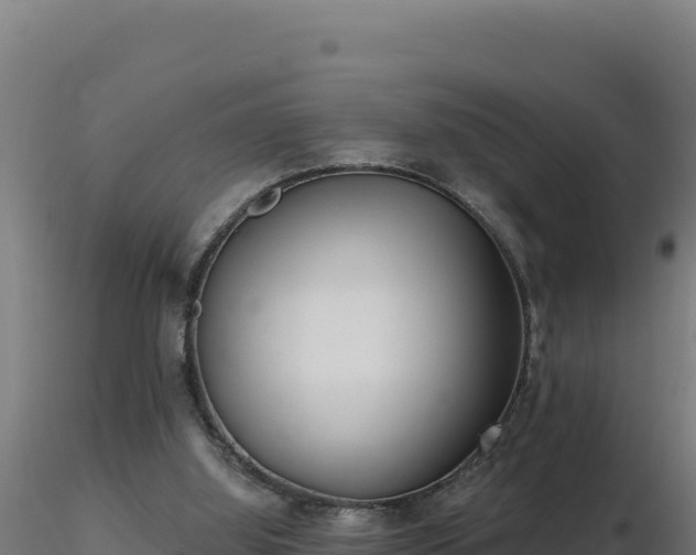 X0000116890060200912291312