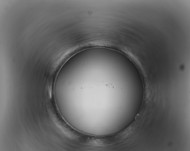 X0000116890062200912291312