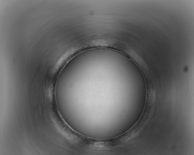 X0000116890064200912291312