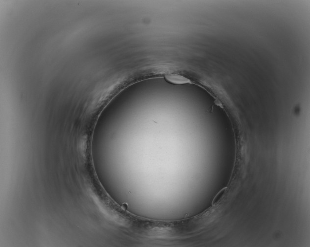 X0000116890066200912291312