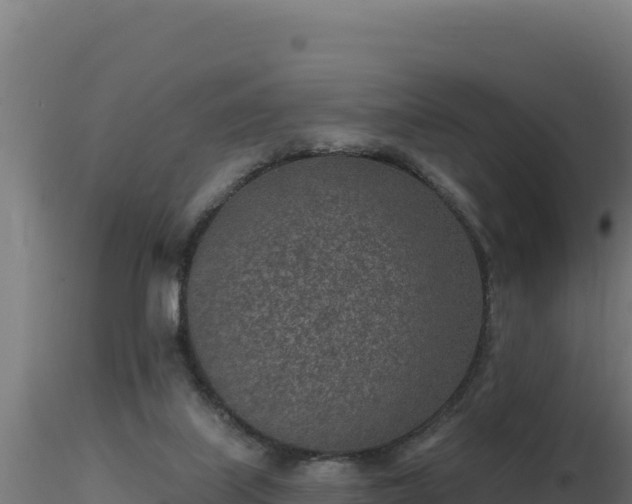 X0000116890067200912291312