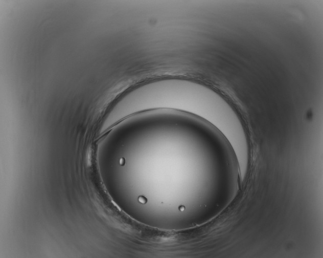 X0000116890068200912291312