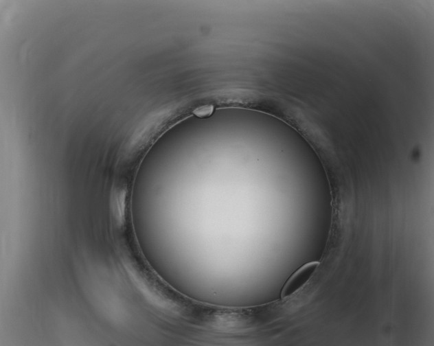 X0000116890070200912291312