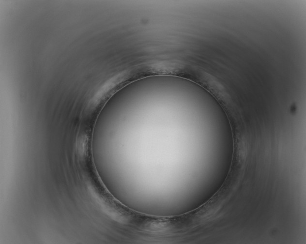 X0000116890071200912291312