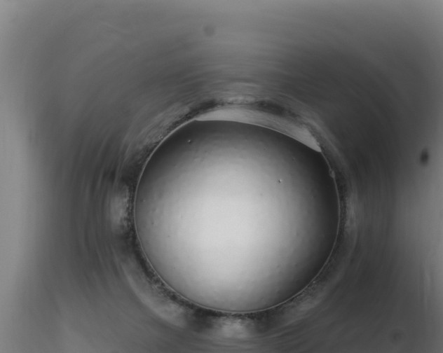 X0000116890073200912291312