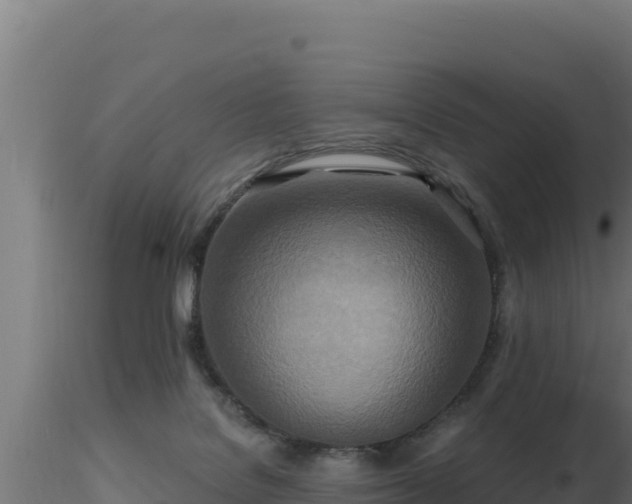 X0000116890076200912291312