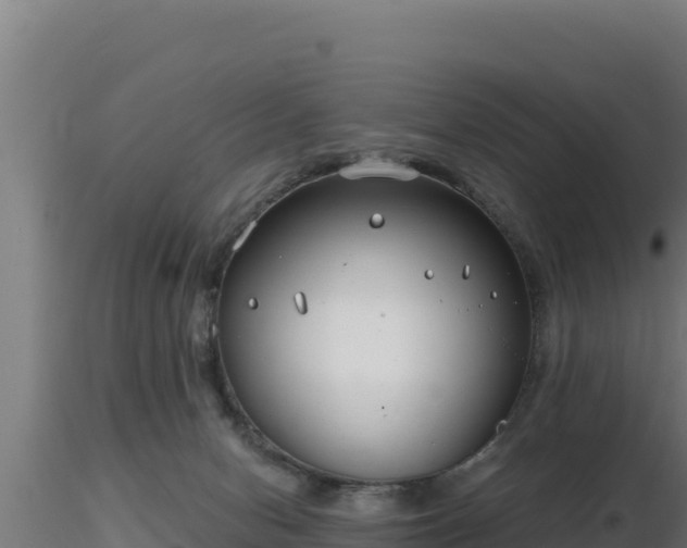 X0000116890078200912291312