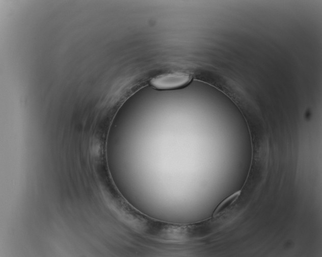 X0000116890084200912291312