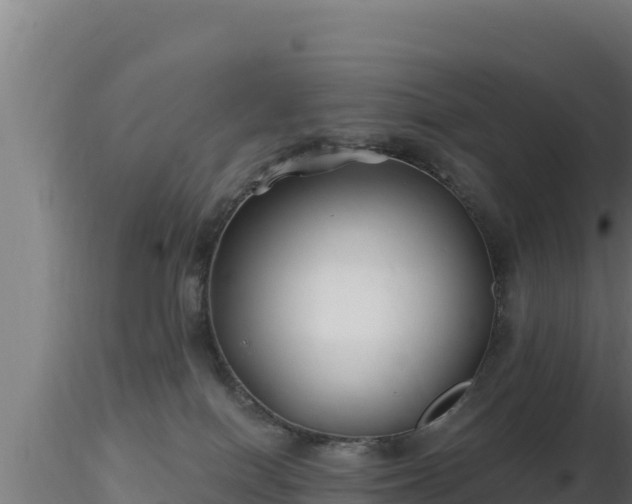 X0000116890086200912291312