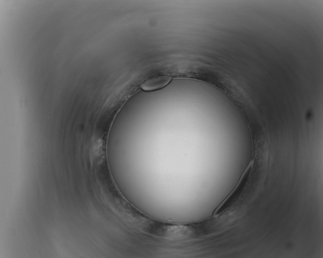 X0000116890087200912291312