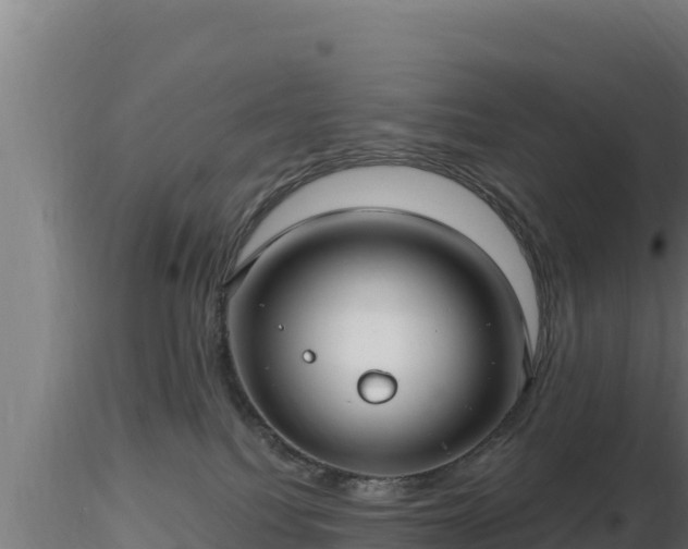 X0000116890088200912291312