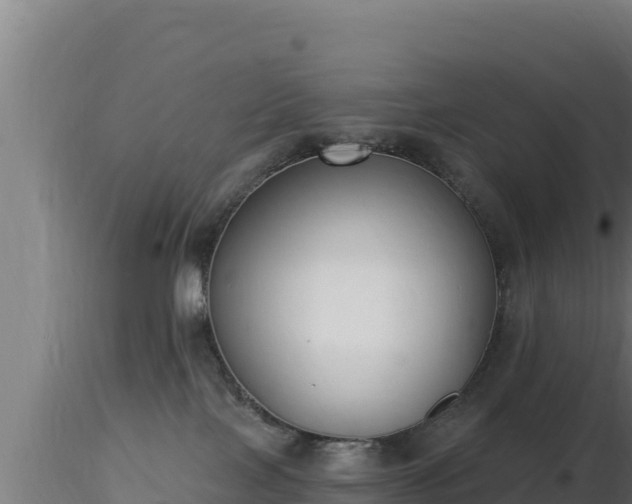 X0000116890089200912291312