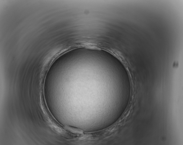 X0000116890097200912291311