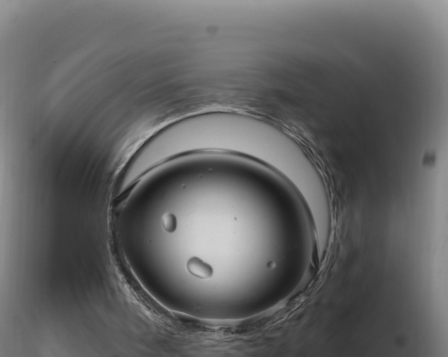 X0000116890098200912291311