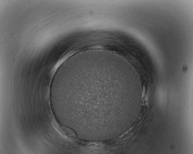 X0000116890099200912291311