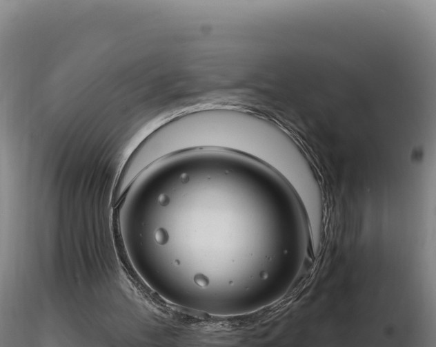 X0000116890100200912291311