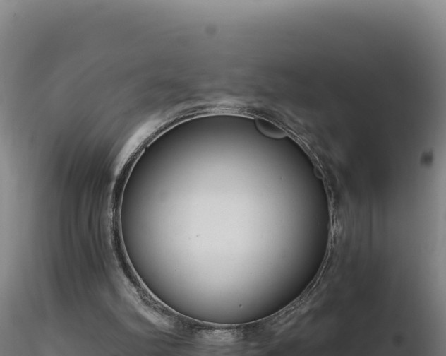 X0000116890102200912291311