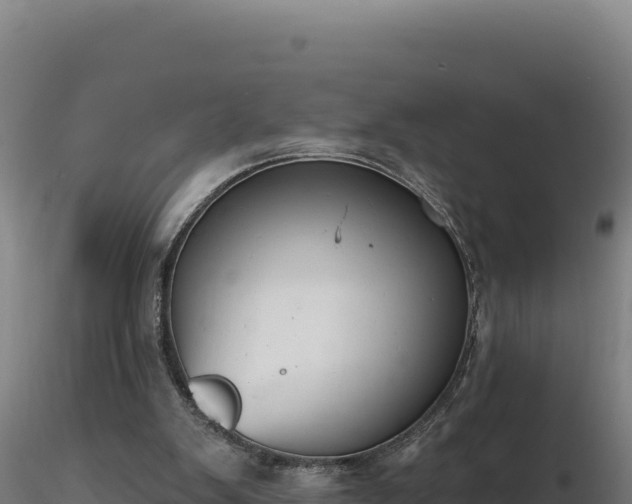 X0000116890103200912291311