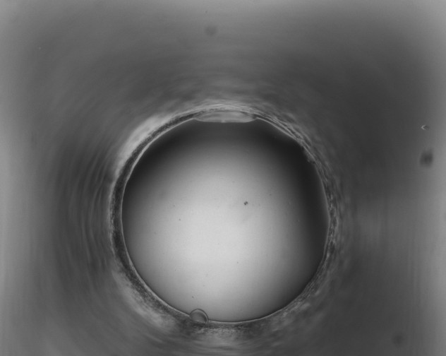 X0000116890104200912291311