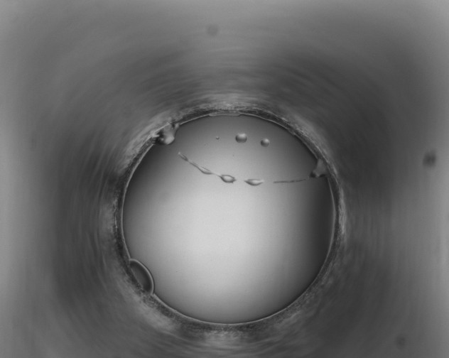 X0000116890105200912291311