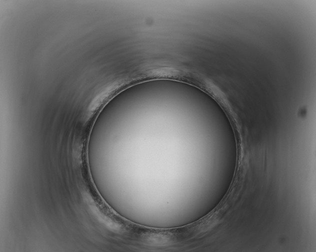 X0000116890106200912291311