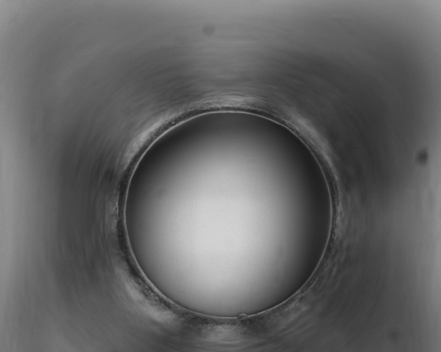 X0000116890107200912291311