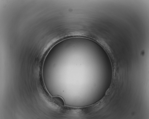 X0000116890108200912291311