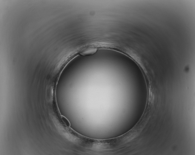X0000116890109200912291311