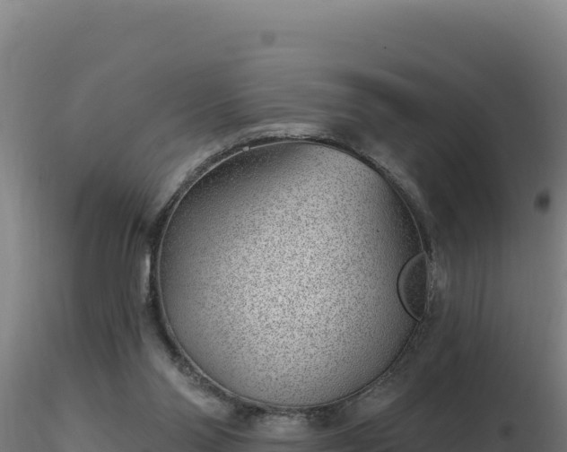 X0000116890110200912291311