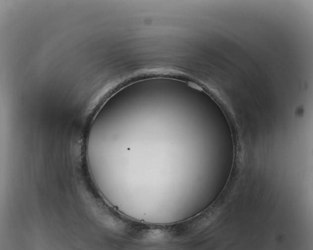 X0000116890111200912291311