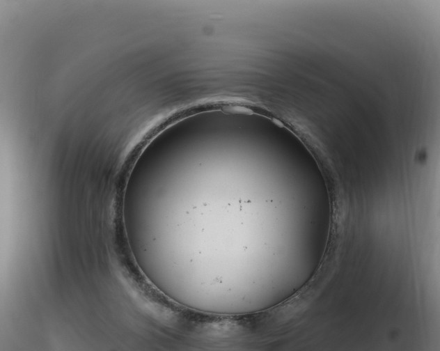 X0000116890112200912291311