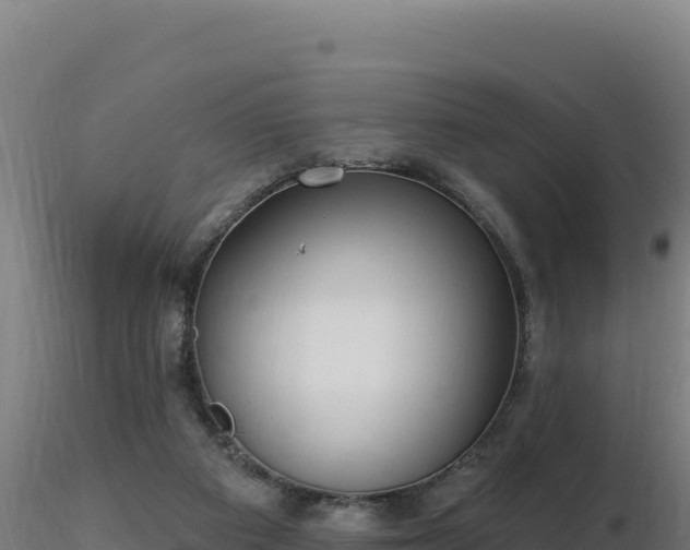 X0000116890113200912291311