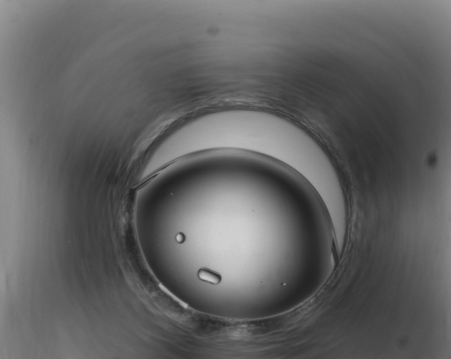 X0000116890116200912291311